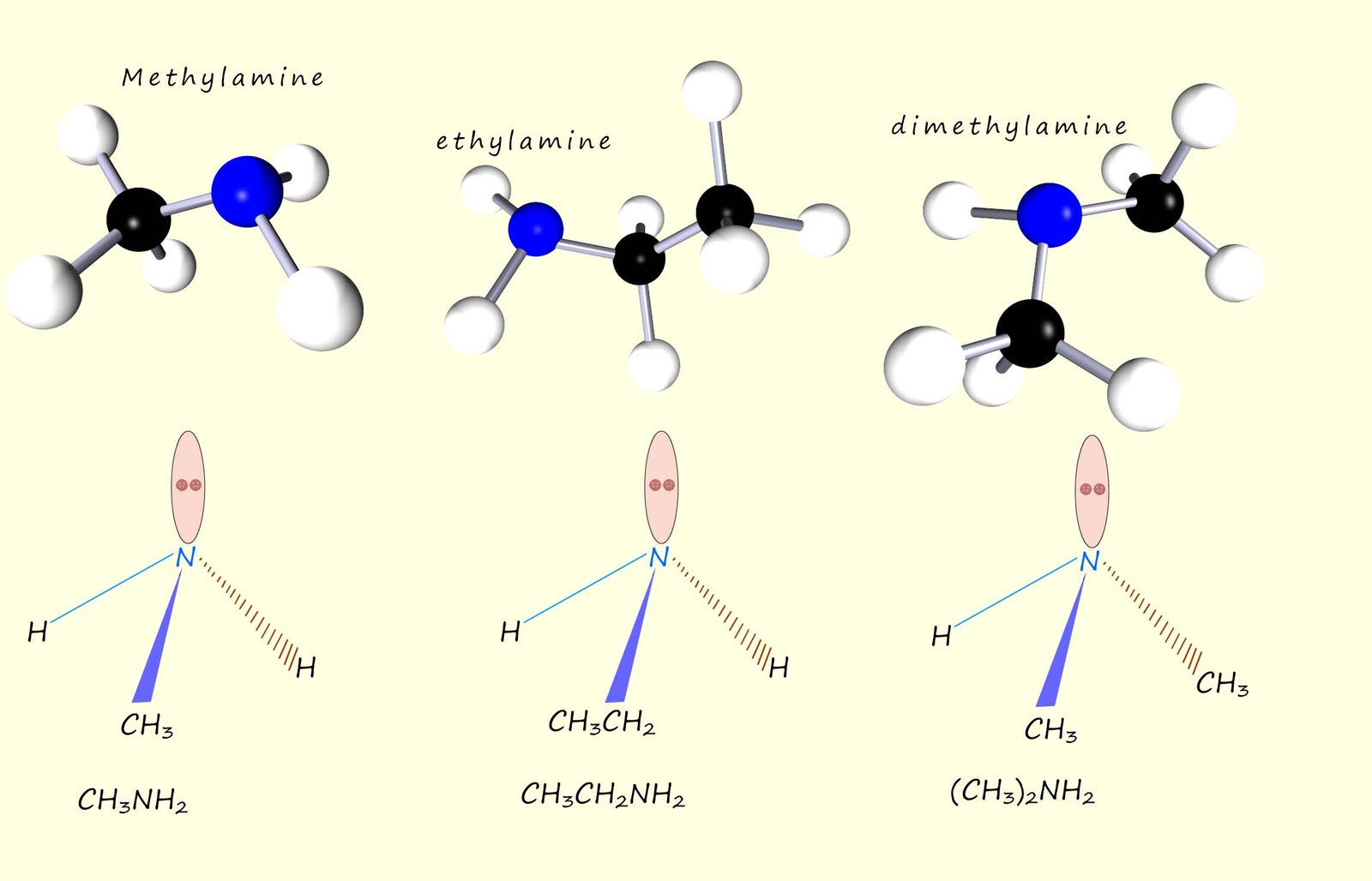 simple amine molecules are named by adding the suffix amine to the alkyl or aryl attached to the nitrogen atom, the image shows 3d models of simple amine molecules.